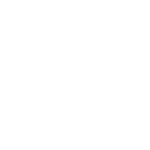 maze white icon