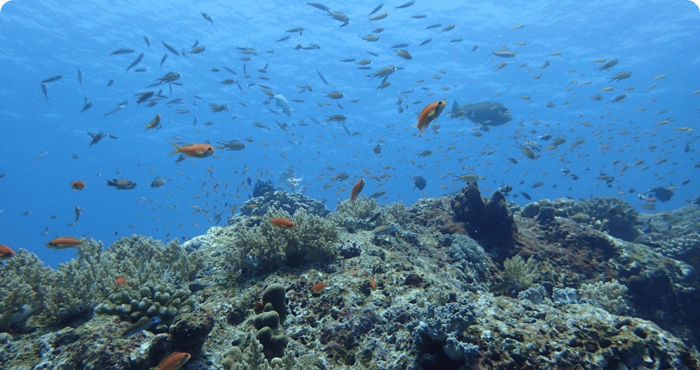 Global Diving