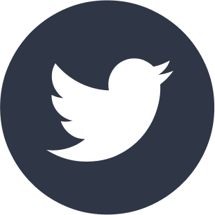 twitter bold icon