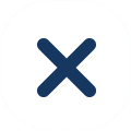 x icon
