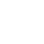 Fractional Leadership icon